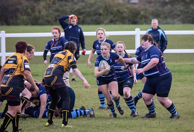 班牙的比赛 班牙的比赛